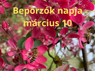 Beporzók napja március 10